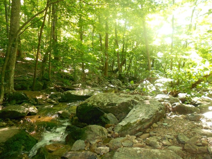 Creek crossing near the first AT shelter south of Rockfish Gap, looking downstream.