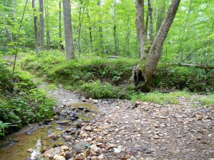 Stream crossing toward the back of the 