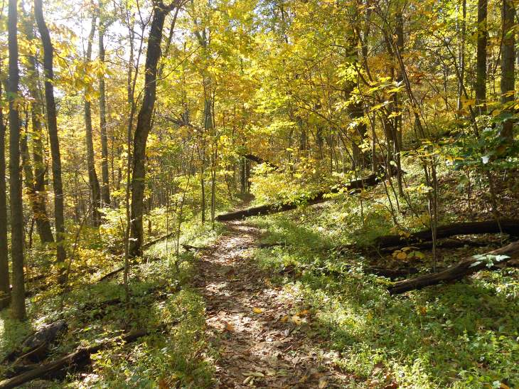 On the Old Howardsville Turnpike trail 48 seconds into my run.  I quickly  realized that I wouldn't get anywhere if I stopped for every vista.