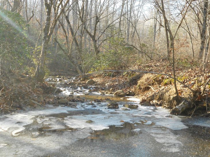 Pilgrim at Walnut Creek.