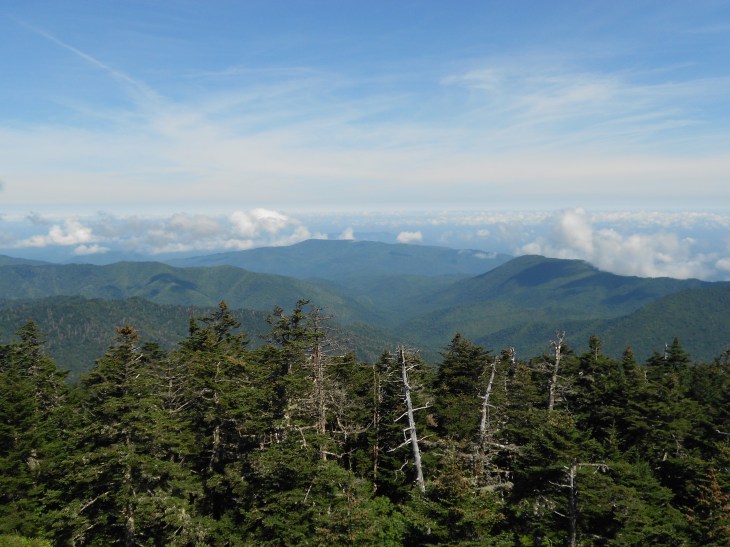 Looking out from Clingmans Dome, the highest point in Tennessee, the Smokies, and on the Appalachian Trail.